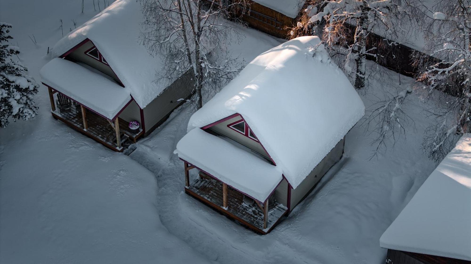 Downtown Talkeetna Cabin! Susitna Cabin Εξωτερικό φωτογραφία