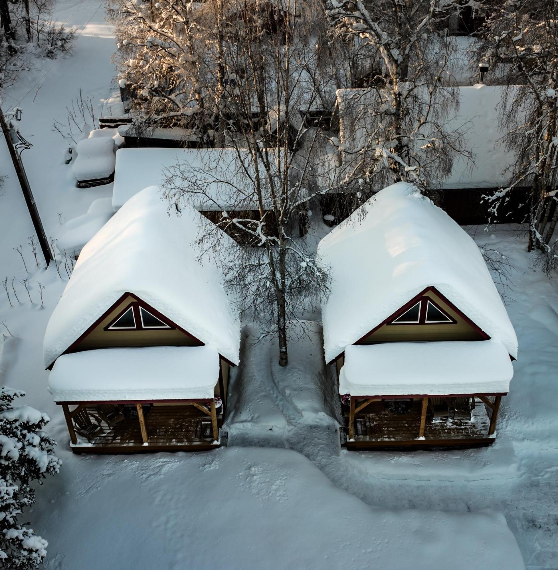 Downtown Talkeetna Cabin! Susitna Cabin Εξωτερικό φωτογραφία
